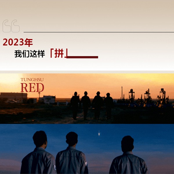 20240204045907274